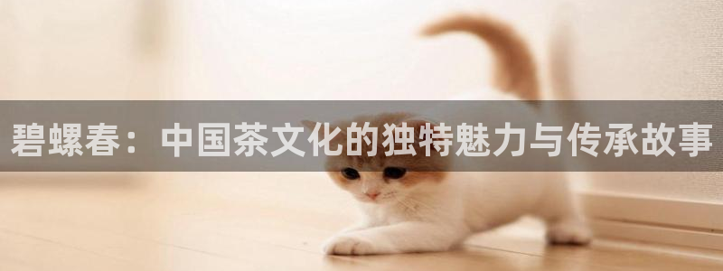 安信12平台的网址