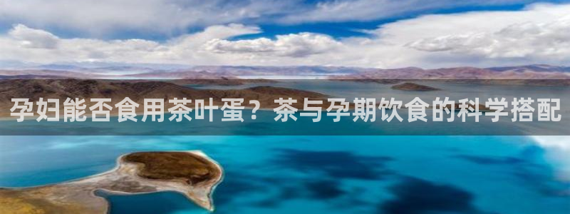 安信12专用挂机