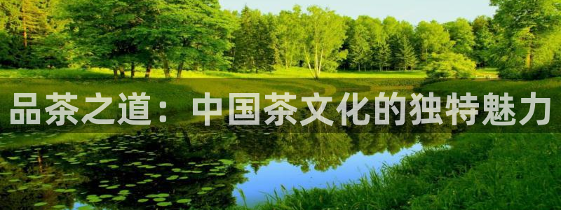 下载安信12