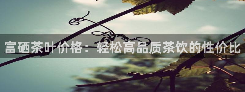 安信可12e12f