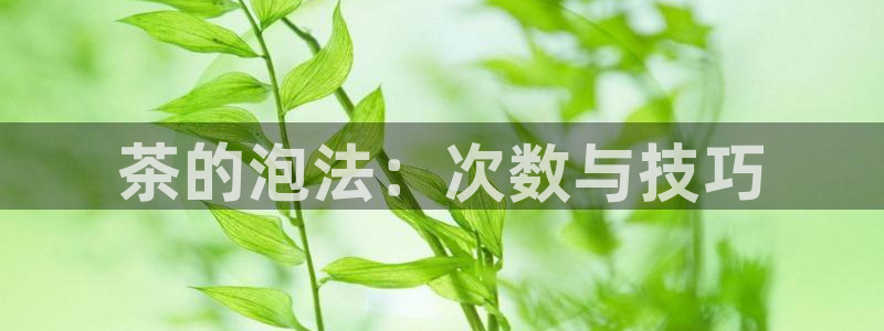安信安盈12最新消息