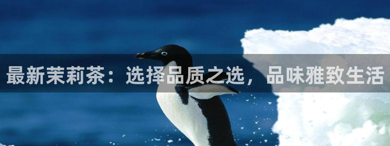 安信12官网qq