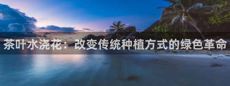 安信12官方下载