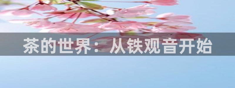 安信12