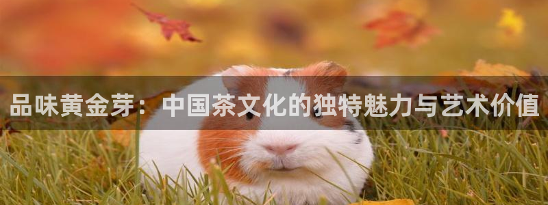 安信安赢12号