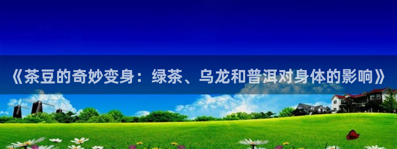 信安杯12