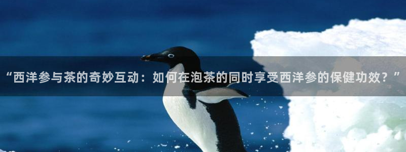 安信12是什么平台