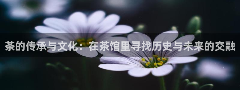 安信12app下载