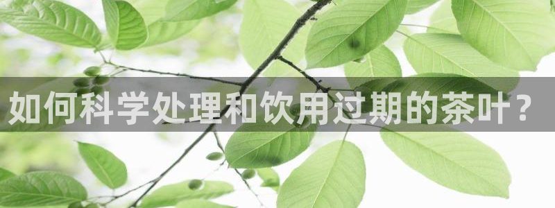 信安杯12