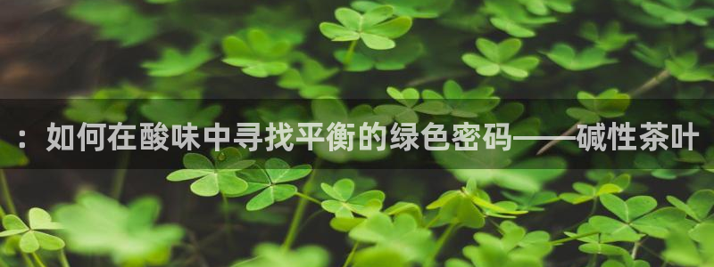 安信12级灯牌