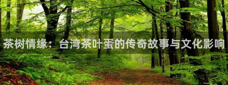 安信12彩票
