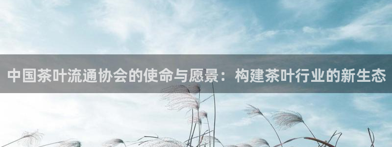 安信12是正规还是仿