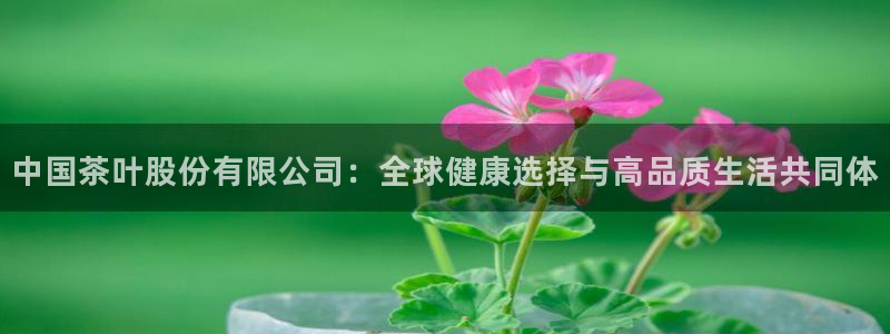 安信12彩票在线网址