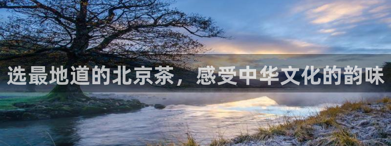 安信12彩票app下载