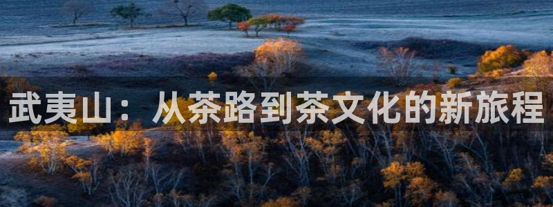 安信12月金股