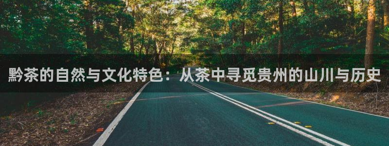 安信12正版下载
