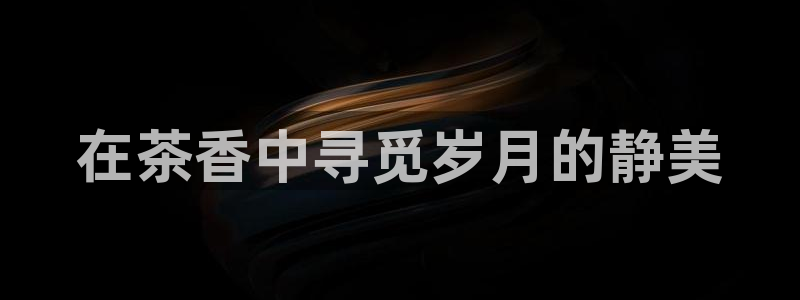 安信安翼 12账号