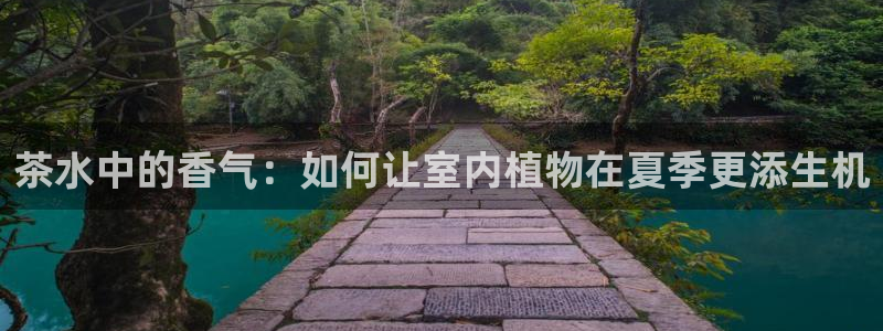 安信12