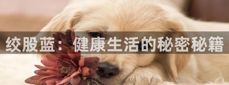 安立信T12测评