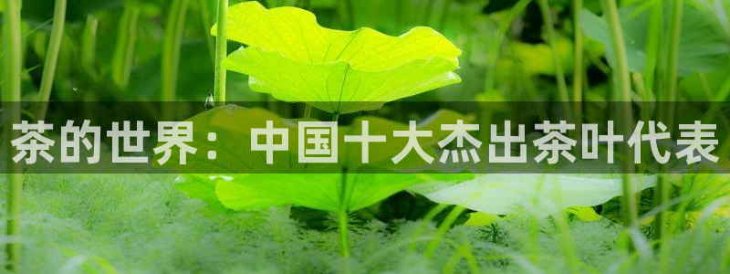 安立信12改装