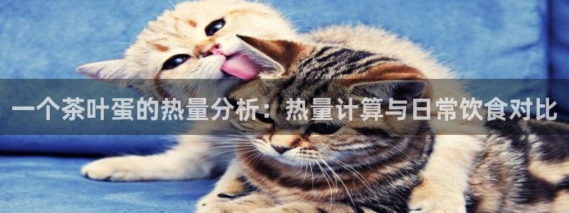 安信esp12