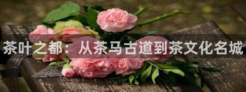 安信12娱乐