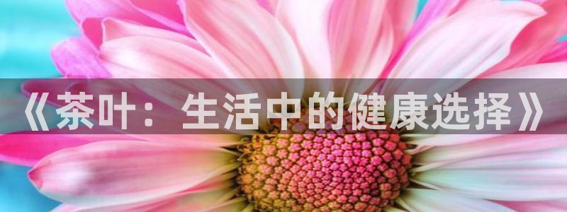 安信12娱乐招商探索空间