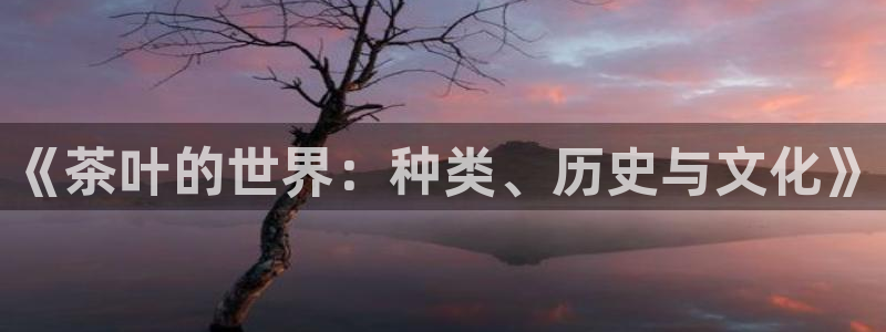 安信12app下载
