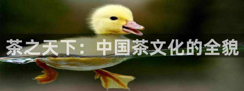 安信可wb12
