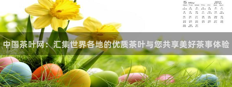 安信12网页版