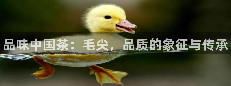 安信12官方下载