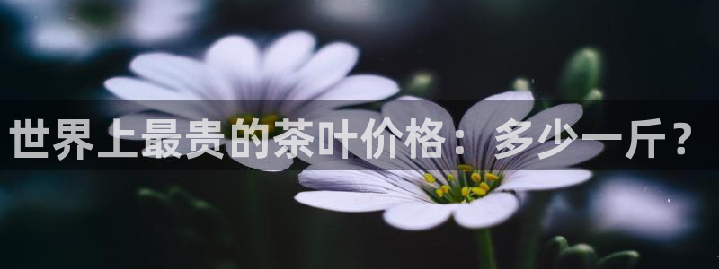 安信4娱乐去55 12