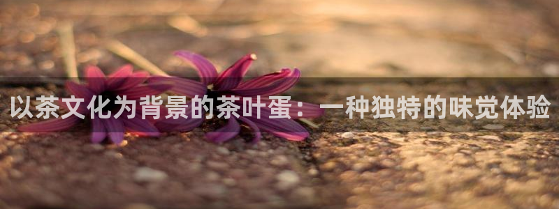 安信122853179Z空间