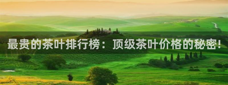 安信12娱乐平台