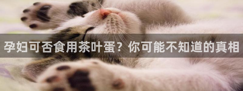 安信12是什么软件