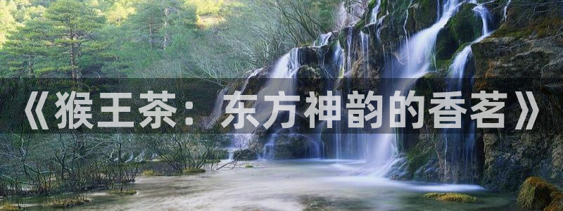安信12平台怎么样