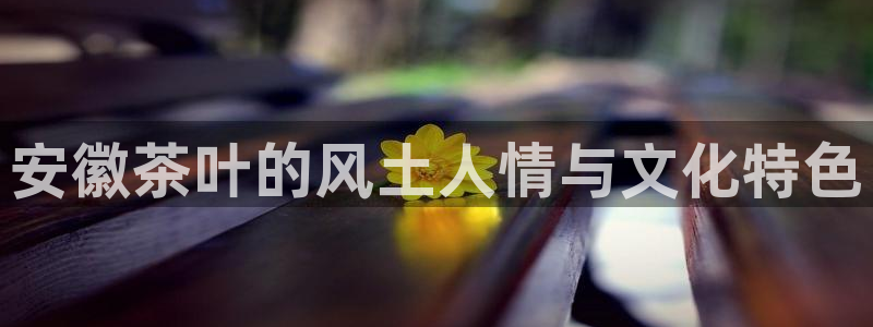 安信可f12