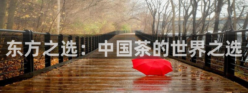 安信12开户