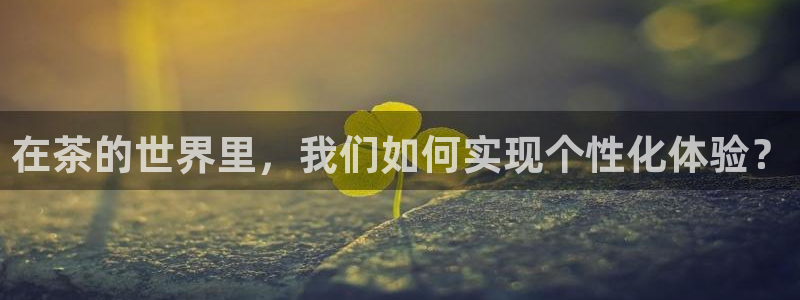 安信12注册代理