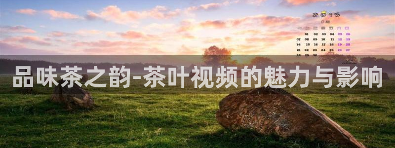 安信12包赔