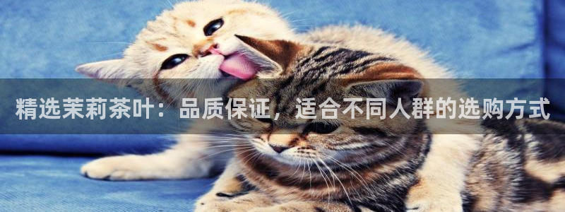安信12级粉丝团福利
