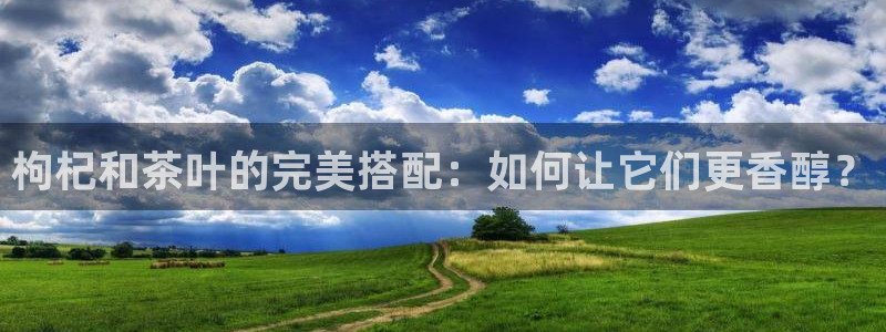 安信证券手机壳12