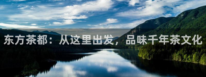 安信12官方网站查询