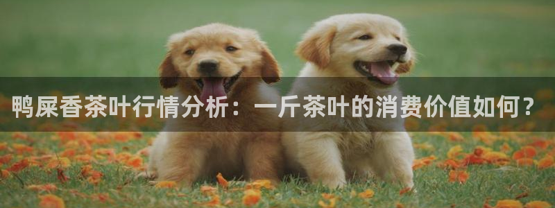 安信12开户