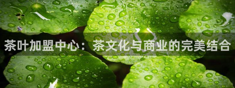 安信12怎么下载