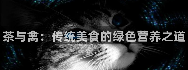 安信可wb12
