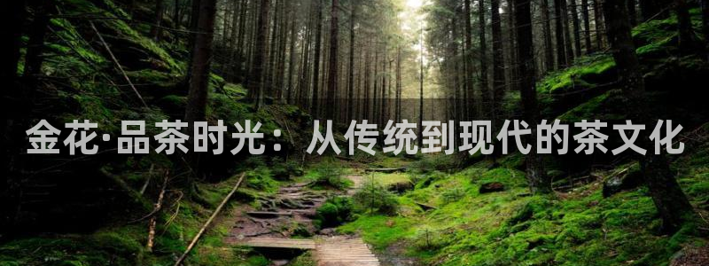 安信安赢12号