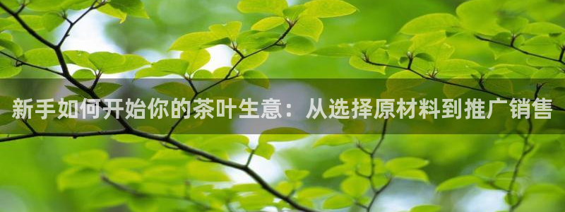 安信12娱乐主管