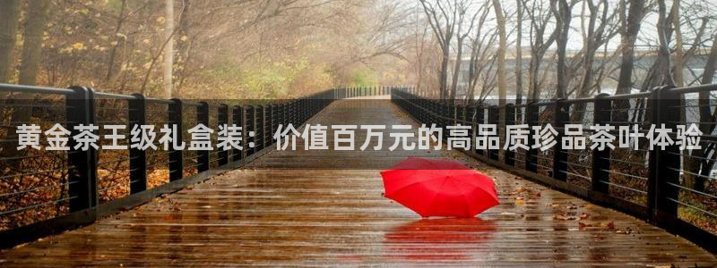 安信12开户