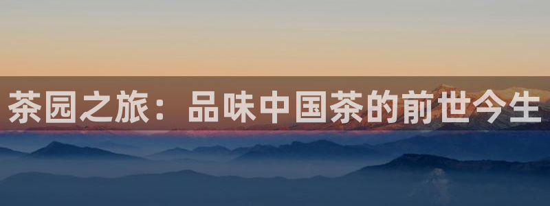 安信cwa12